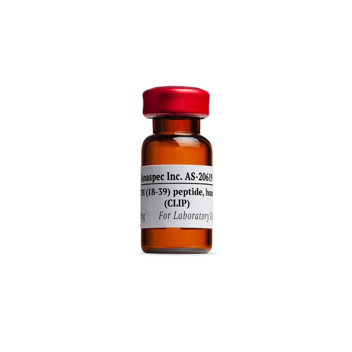 Buy ACTH Peptide Online Buy ACTH Peptide Online