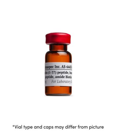 bdnf peptide buy